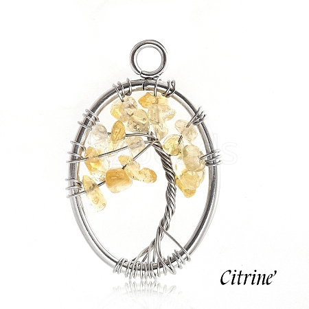 Stainless Steel Wired Natural Citrine Pendants PW-WGF707B-06-1