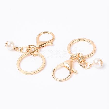 Alloy Keychain Clasps LS-PALLOY-WH0085-09KCG-1