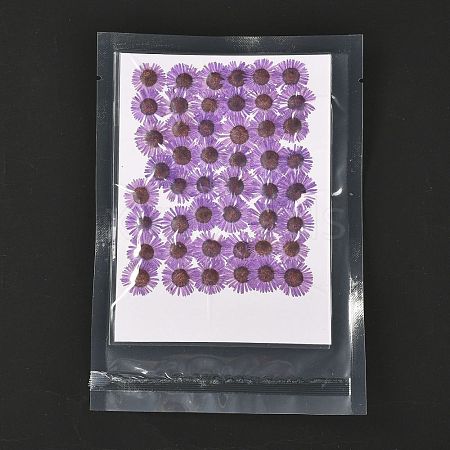 Centaurea Iberica Embossing Dried Flower DIY-K032-65D-1