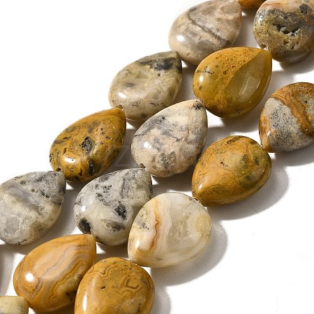 Natural Crazy Agate Beads Strands G-P561-B11-01-1