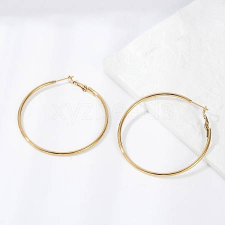 201 Stainless Steel Hoop Earrings EJEW-F188-24G-C-1