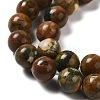 Natural Rhyolite Jasper Bead Strands G-G684-01-8mm-6