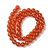 Natural Carnelian Beads Strands X-GSR8MM060-1-5