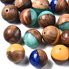 Resin & Walnut Wood Beads RESI-S358-68-1