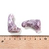 Natural Lepidolite Sculpture Display Decorations G-PW0004-61Q-3