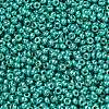 MIYUKI Round Rocailles Beads X-SEED-G007-RR5106-2