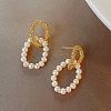 Alloy Dangle Earrings for Women FS-WG85681-88-1
