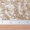MIYUKI Delica Beads SEED-X0054-DB0907-4