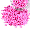 6/0 Baking Paint Glass Seed Beads X-SEED-S003-K2-1