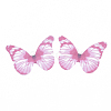 Polyester Fabric Wings Crafts Decoration FIND-S322-010B-3