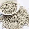 Baking Paint Glass Seed Beads SEED-A033-04R-1