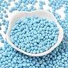 6/0 Opaque Baking Paint Glass Seed Beads X1-SEED-M012-02A-13-2