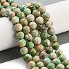 Natural Peruvian Turquoise(Jasper) Beads Strands G-Z062-A01-01-2