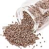 MIYUKI Delica Beads SEED-X0054-DB2504-1