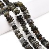 Natural Labradorite Beads Strands G-T141-09-2