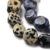 Natural Dalmatian Jasper & Blue Spot Jasper & Green Spot Jasper & Snowflake Obsidian & Picture Jasper Beads Strands G-L610-B11-01-4