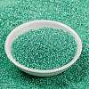 MIYUKI Round Rocailles Beads SEED-G009-RR0571-2