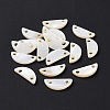Natural Freshwater Shell Connector Charms SHEL-H001-11-4