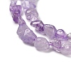 Natural Amethyst(Dyed & Heated) Beads Strands G-P497-01E-21-4