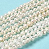 Natural Cultured Freshwater Pearl Beads Strands PEAR-E017-24-2