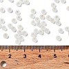 8/0 Glass Seed Beads SEED-Z001-C-E08-4