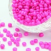 6/0 Baking Paint Glass Seed Beads X-SEED-S003-K24-1