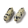 Natural Dalmatian Jasper Healing Stones G-K330-26-3