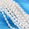 Teardrop Shell Pearl Bead Strands BSHE-L015-5x8-01-1