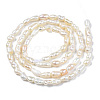 Natural Cultured Freshwater Pearl Beads Strands PEAR-N012-02F-2
