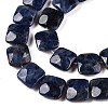 Natural Sodalite Beads Strands G-T138-169-3