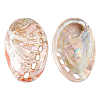 Natural Shell Display Decorations DJEW-WH0042-143D-1