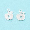 925 Sterling Silver Charms STER-F053-04S-2