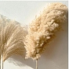 Mini Dried Grass Bouquet for Wedding Party Home Table Decoration HULI-PW0002-114C-1