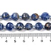 Natural Sodalite Beads Strands G-G182-B20-05-5