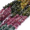 Natural Tourmaline Beads Strands G-P332-73B-1