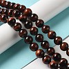 Natural Gemstone Beads Z0RQQ014-3