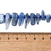 Natural Kyanite Beads Strands G-J403-02-4