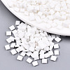 2-Hole Glass Seed Beads SEED-S031-L-ST41FR-1