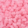 Transparent Colours Glass Seed Beads SEED-R001-01N-2