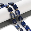 Natural Lapis Lazuli Beads Strands G-H061-A07-01-2