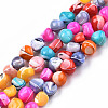 Natural Trochid Shell/Trochus Shell Beads Strands SSHEL-N032-56-1