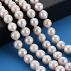 Natural Keshi Pearl Beads Strands PEAR-S020-F07-5