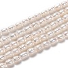 Natural Cultured Freshwater Pearl Beads Strands PEAR-L033-65-1