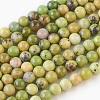 Natural Serpentine Beads Strands G-G767-04-6mm-1