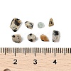  Natural Dalmatian Jasper Chip Beads G-M055-04-3