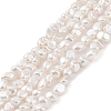 Electroplated Shell Pearl Beads Strands BSHE-C006-02A-1