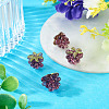 4Pcs Handmade Lampwork Beads LAMP-TA0002-24F-5