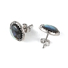 Paua Shell & Brass Stud Earrings for Women EJEW-JE07472-02-4