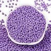 8/0 Baking Paint Glass Seed Beads SEED-M012-02A-47-2