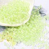 6/0 Glass Seed Beads SEED-T006-04F-02-1